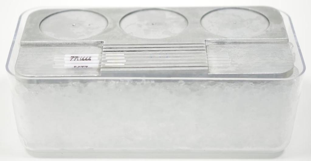 2.6. Place a 60mm dish on the vitrification plate marked with DAP213.