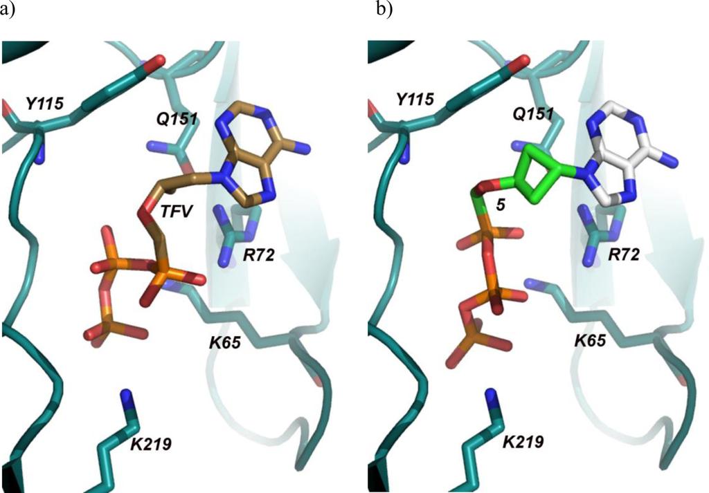 Kim et al. Page 7 Figure 2. Tenofovir and Compound 5 in the active site of HIV-1 RT.