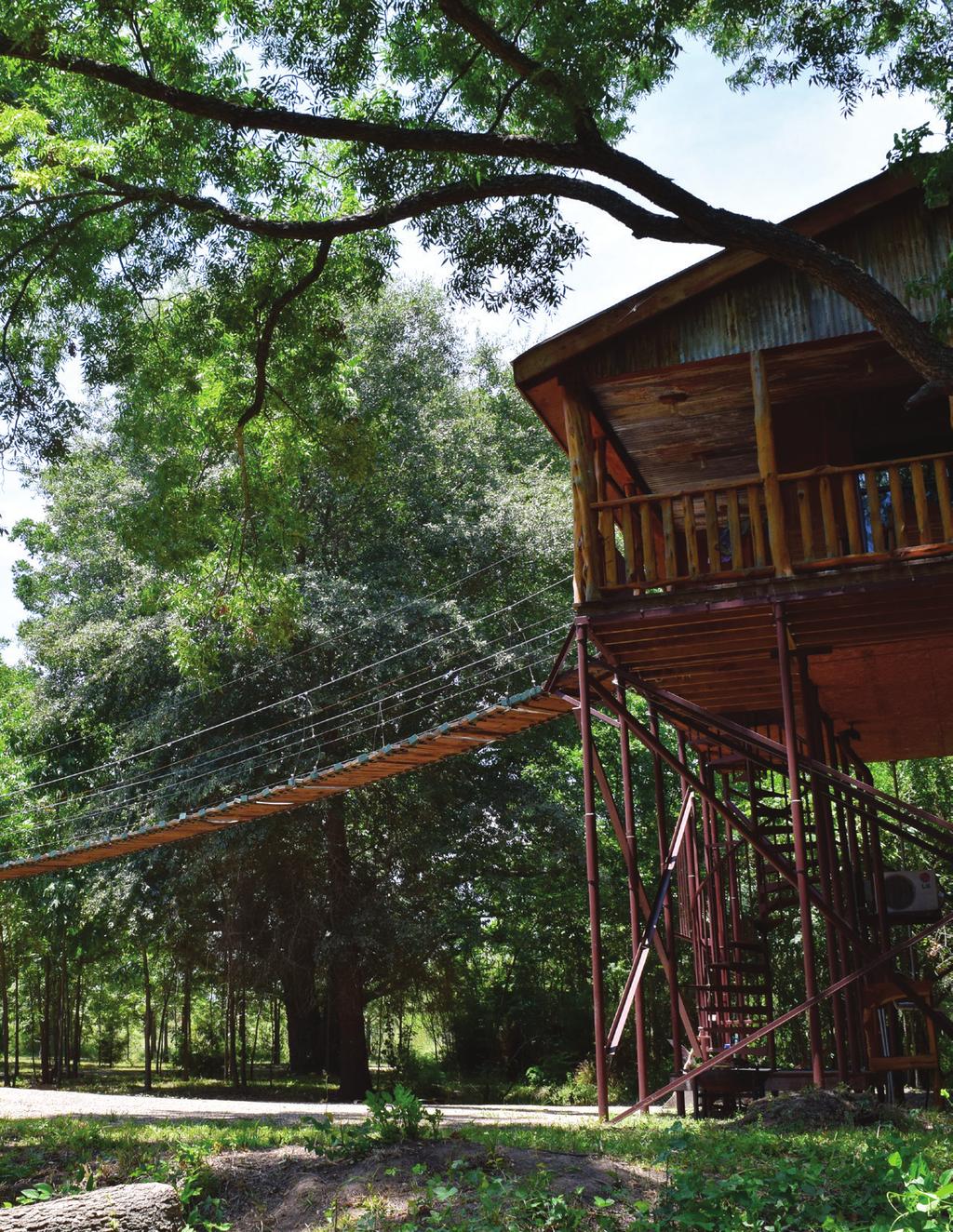 THE TREEHOUSE When we decided to name the Texas Campus it seemed only fitting to be called The Treehouse. After all, what other addiction treatment center in Texas has their own actual treehouse?