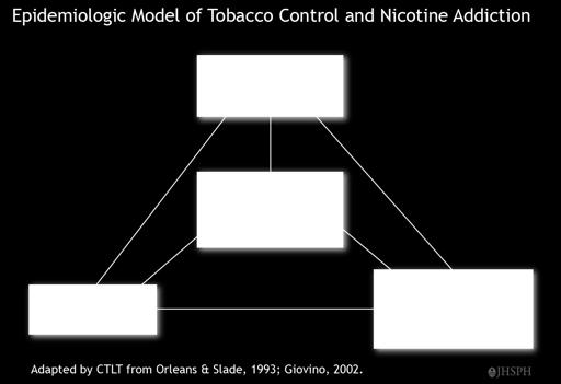 Model of Tobacco Control and Nicotine Addiction