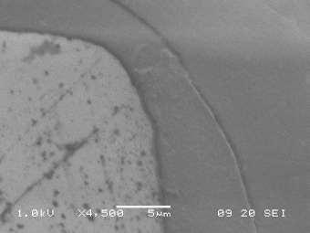 2 nm) stent strut release biodeg polymer matrix (3-7 µm) eg BuMA base layer