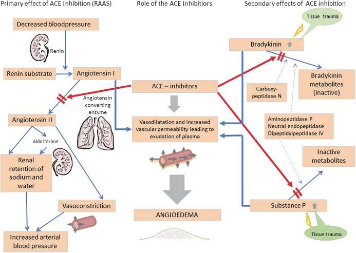 ACE-Inhibitors (ACEI) Adverse Effects / Contraindications: Cough Angioedema / Agranulocytosis Potassium excess Taste change Orthostatic