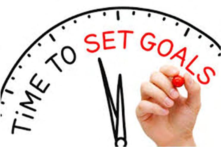 Establishing Goals of Evaluation Establishing goals with client (IDPH)