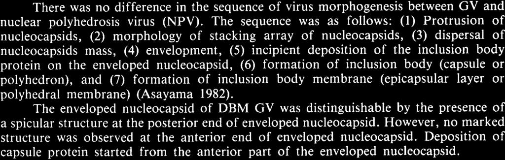 The sequence was as follows: (1) Protrusion of nucleocapsids, (2) morphology of stacking array of nucleocapsids, (3) dispersal of nucleocapsids mass, (4) envelopment, (5) incipient