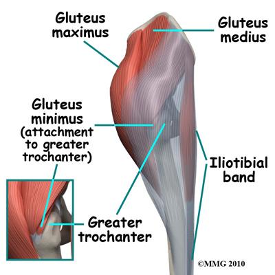 The bursa is a normal structure, and the body will even produce a bursa in response to friction. The bursa next to the greater trochanter is called the greater trochanteric bursa.