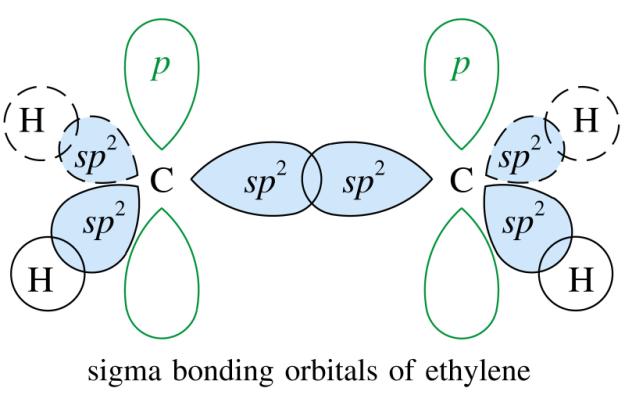A peptide bond connects two amino acids + 2 2 ' ' amino acid amino acid peptide bond +