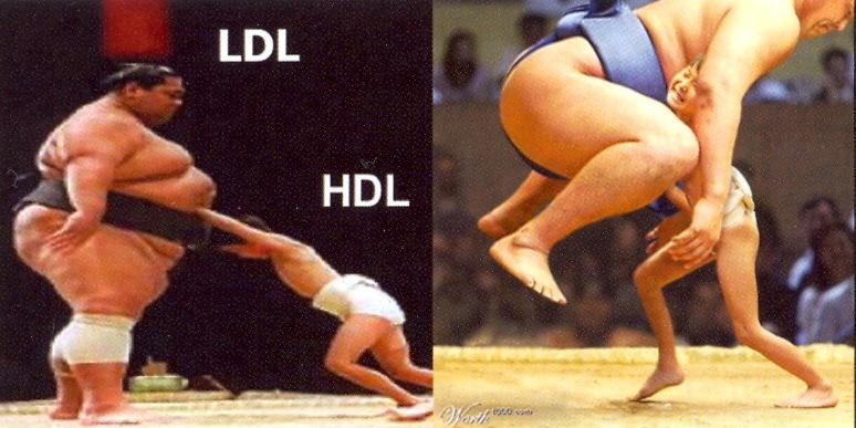 LDL vs.