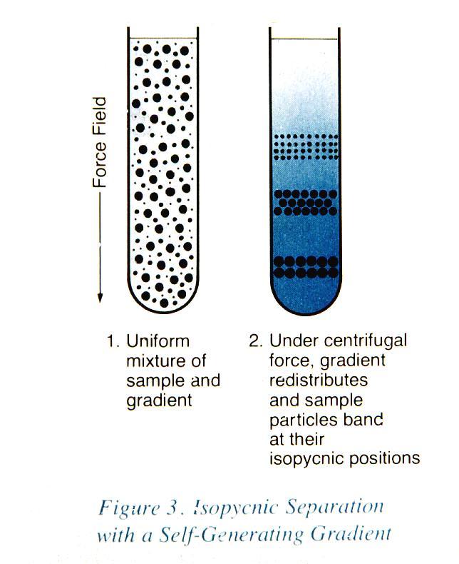 How scientists separate different lipoproteins Ultracentrifuge
