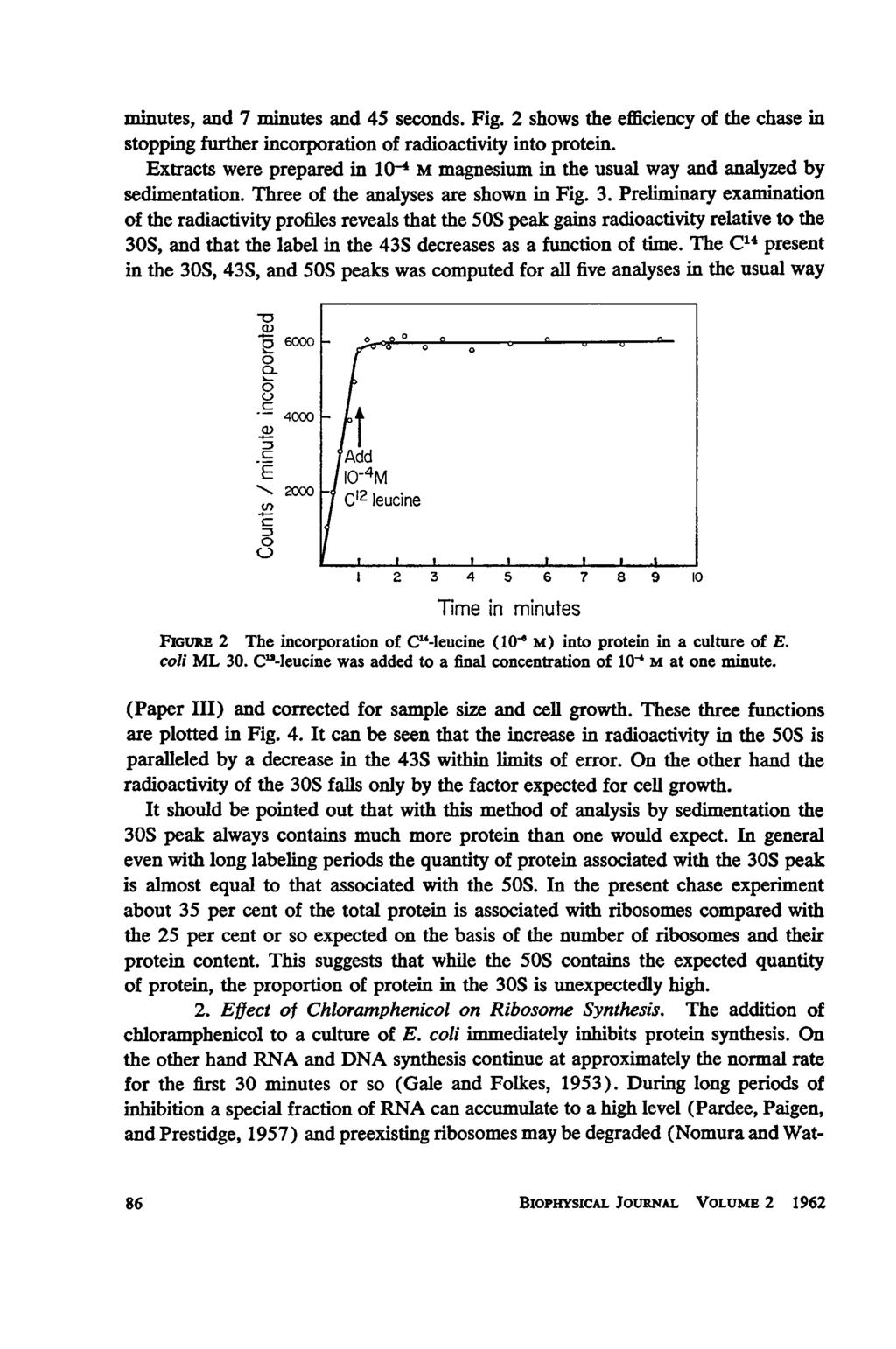 minutes, and 7 minutes and 45 seconds. Fig. 2 shows the efficiency of the chase in stopping further incorporation of radioactivity into protein.