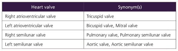 Different names for the valves of