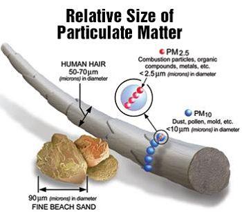 Particulate Matter Complex mixture of extremely small particles and liquid droplets in the air Made up of: acids, organic chemicals,