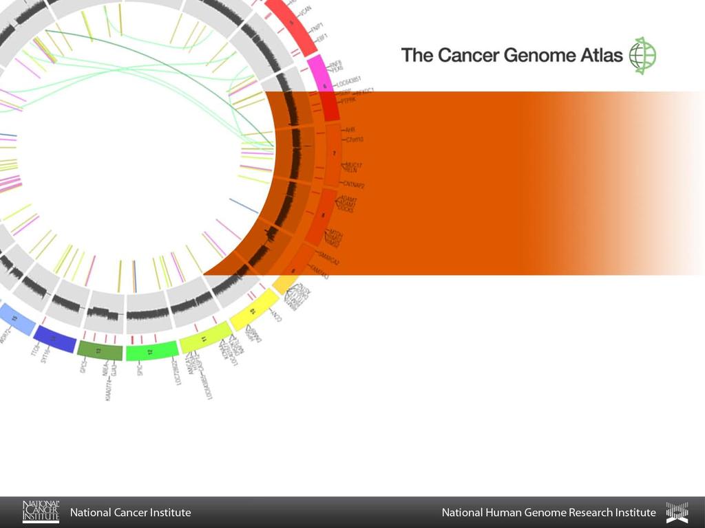 The Cancer Genome Atlas July 14, 2011 Kenna M.