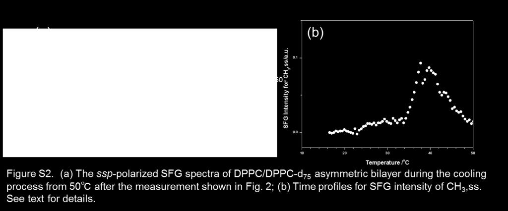 SFG measurement for the cooling process of asymmetric DPPC bilayer Figure S2(a) shows a series of ssp-polarized SFG spectra (2800 3000 cm 1 ) for an asymmetric DPPC/DPPC-d 75 bilayer on CaF 2 surface