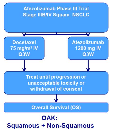 3 Atezolizumab Marker Positive Strategy: PD-L1+ (TC+ITL) 4 Stage IIIB/IV NSCLC Positive Positive Positive POSITIVE Positive IV, intravenous; Pembro,