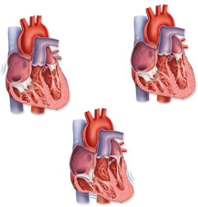 Oxygen-rich does not mix with oxygen-poor Blood must travel through the lungs to go from the side of the heart to the side Heart is described as a double pump Right ventricle sends oxygen-poor into