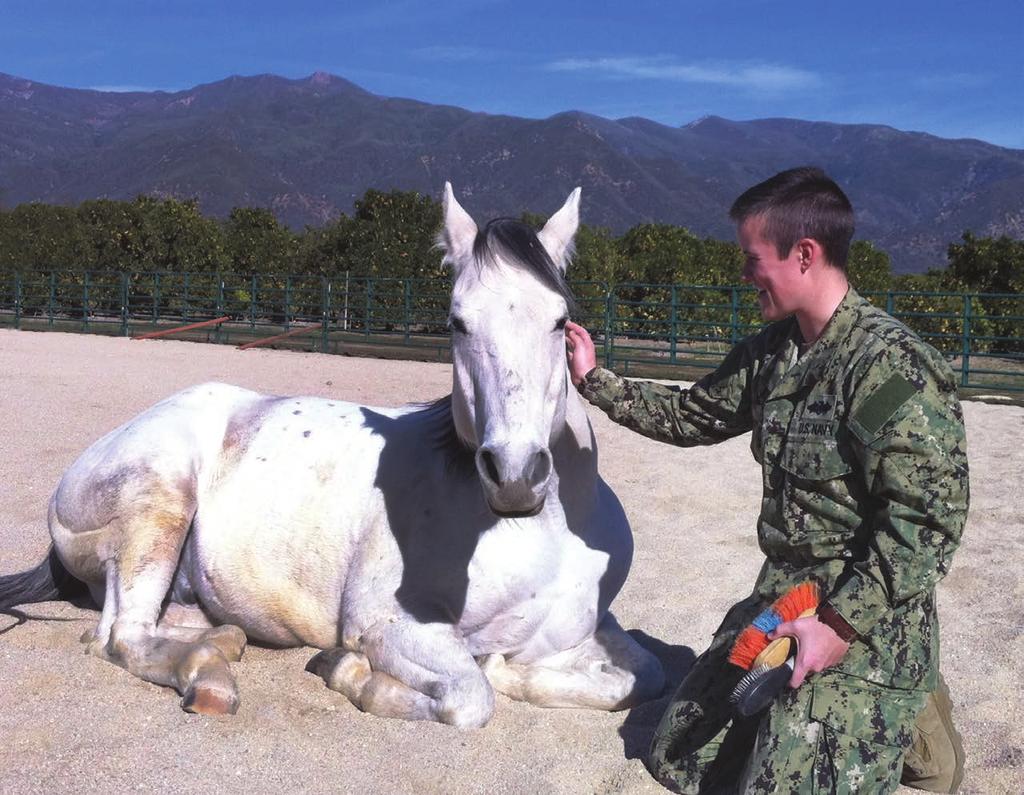 Serving those who serve with the global standard in equine assisted psychotherapy Eagala s Military Services