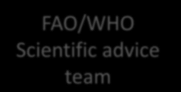 FAO/WHO Scientific advice team