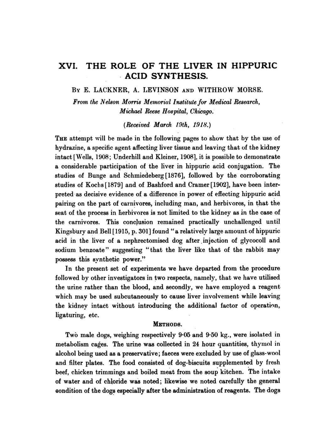 XVI. THE ROLE OF THE LIVER IN HIPPURIC ACID SYNTHESIS. BY E. LACKNER, A. LIEVINSON AND WITHROW MORSE. From the Nelson Morris Memorial Institute for Medical Research, Michael Reese Hospital, Chicago.