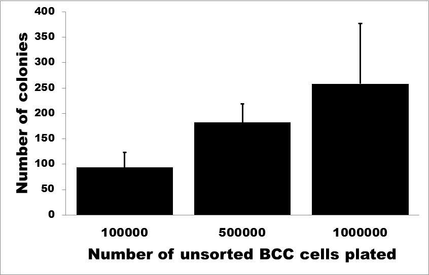 Supplemental Figure 4 Colmont CS et al, 2012 A B CD200+ CD45- BCC Colonies CD200- CD45- BCC Colonies