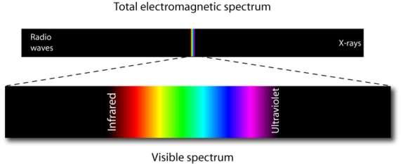 Senses- Vision Light is a small part (1/70th) of the total electromagnetic (EM) spectrum. The EM band extends from radio waves at one extreme to x-rays at the other.