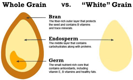 Carbohydrates Energy ~60 70% total intake Complex Carbohydrates Slowly digested Prolonged energy Majority of carbohydrates should be whole grains Nutrient Dense rich in vitamins, minerals, fiber