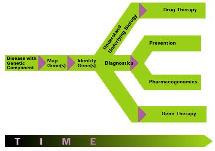 The New Medicine James Spader Stargate Developmental