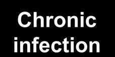 95% Resolved infection Chronic infection Resolved infection