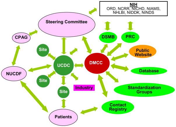 Urea Cycle Disorders Consor_um (UCDC) within the context of the Rare Diseases Clinical Research Network (RDCRN); DSMB data safety and monitoring board; PRC