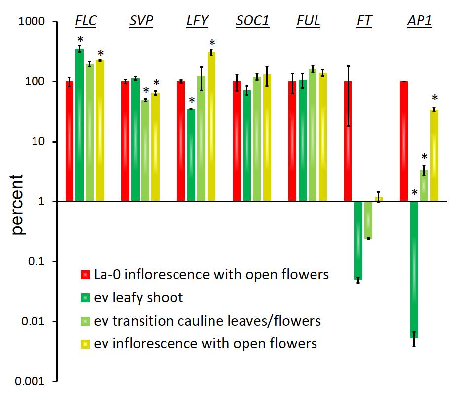 Supplemental Figure 4. Gene expression of flowering time and meristem identity genes in wild-type (La-0) and emf2-10 vrn2-1 (ev) inflorescences in SD.