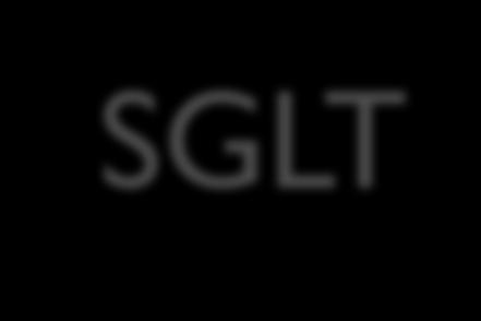 SGLT-2