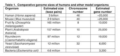 A comparison of general features of genomes Touchman, J.