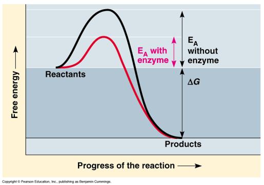 Chemical Reactions: Is a process that changes one set of chemicals into another set of chemicals.