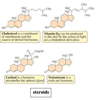 Steroids -