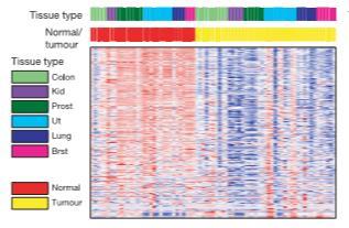 mirnas for cancer diagnose mirna profiling in cancer cells compared with those in