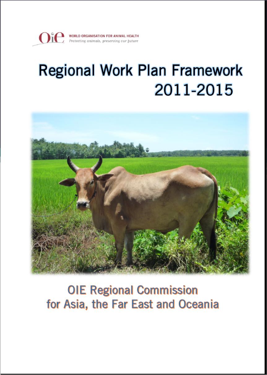 Regional Work Plan