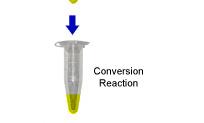Sample Preparation Bisulfite Conversion 1 st Round Multiplex PCR 2 nd Round Nested PCRs (Pyro-) Sequencing Bisulfite conversion with the EZ DNA Methylation Direct