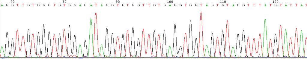 Sample Preparation Bisulfite Conversion 1 st Round Multiplex PCR 2 nd Round Nested PCRs (Pyro-) Sequencing Optimized 2 nd round nested PCR assays for the three studied