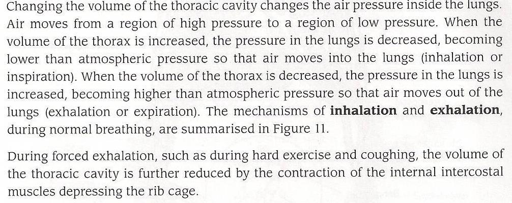 Ventilation of the lungs: Read the following