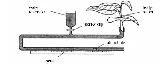 5 Transpiration is the loss of water from plants by evaporation. Fig. 5.1 shows a potometer, an apparatus used to estimate transpiration rates.