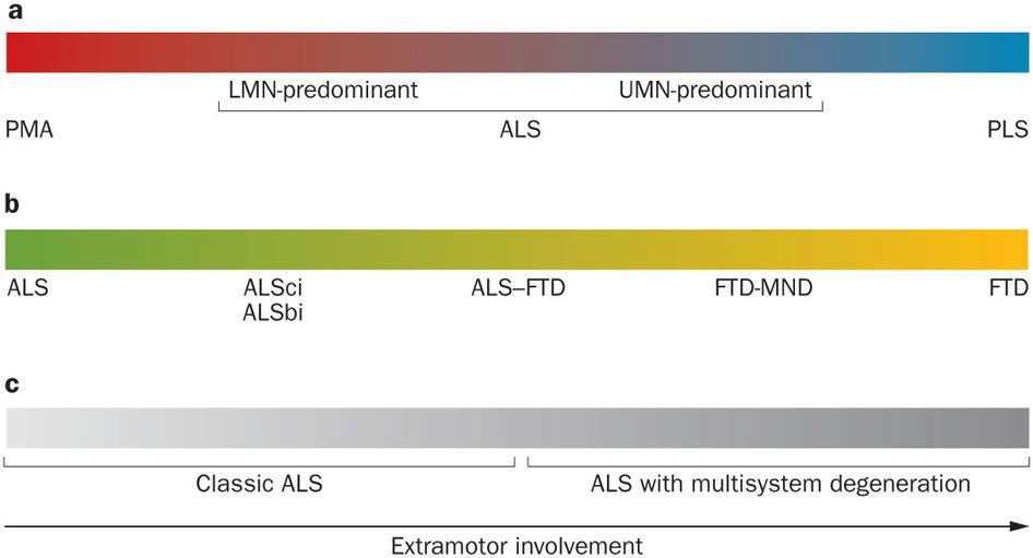 Spectrums of ALS Swinnen, B and Roberecht.