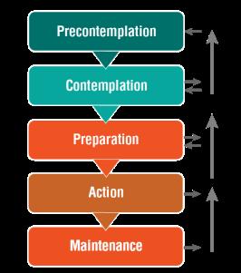 OVERVIEW OF TRANSTHEORETICAL MODEL (TTM): ASSESSING TOBACCO DEPENDENCE & CLIENTS READINESS AND MOTIVATION TO QUIT 13 STAGES OF CHANGE MODEL Developed by Prochaska and DiClemente Behavior change does
