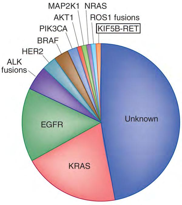 BRAF mutation in NSCLC 1-3% RET fusions Relative