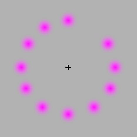 We are visual animals Follow the dot. What color? Stare at the +.