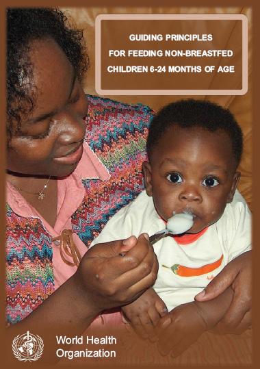 Guiding principles for feeding non-breastfed children (2005) Examples of modified recommendations: increased feeding frequency, importance of animal-source foods, fortified foods Informal meeting to