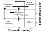 The Ecology and Phenology of Plant Mating Systems outcrossers dioecy wind pollinated dichogamy heterostyly animal pollinated selfers H M L Temporal crowding t* H M L Spatial crowding m* How are Plant
