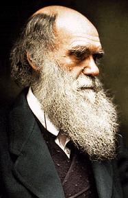 Darwin s s Grasp of Animal Mating Systems The special circumstances in which reproduction occurs within individual species. It is here that sexual differences arise - or do not.