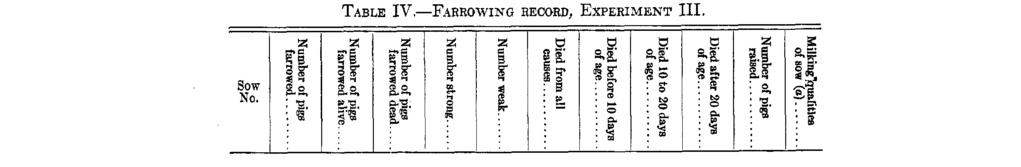 The same care in sanitation and handling the sows and pigs was observed in this experiment as in the previous one. Table IV shows the farrowing record of these gilts.