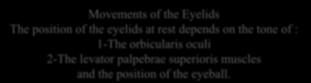 Movements of the Eyelids The position of the eyelids at rest depends on the tone of : 1-The
