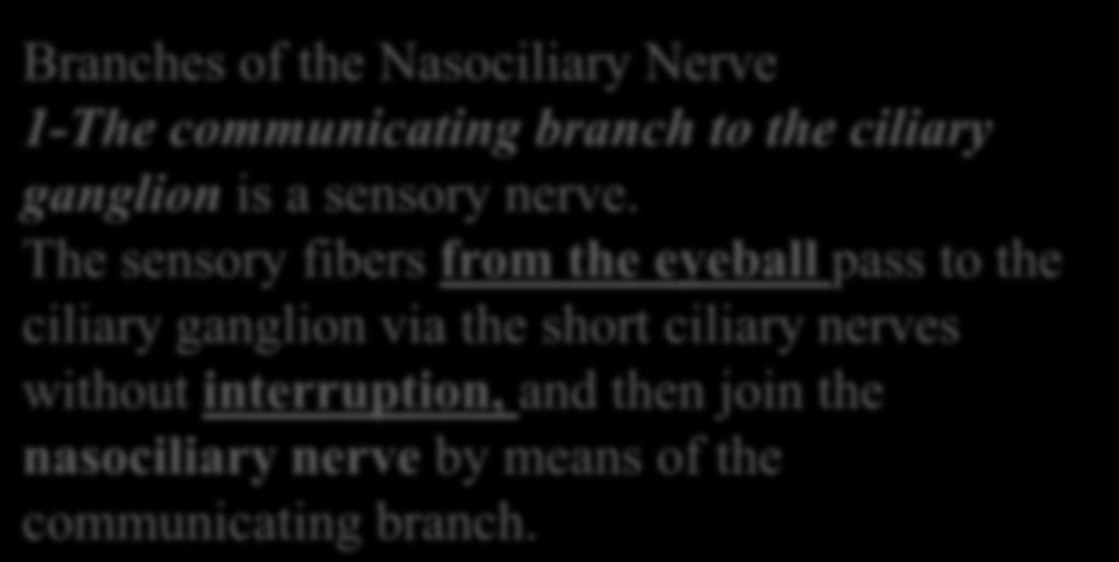 the anterior ethmoidal and infratrochlear nerves Branches of the Nasociliary Nerve 1-The communicating branch to the ciliary ganglion is a sensory nerve.