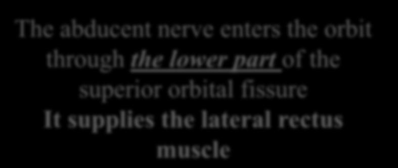 The Sixth Cranial nerve ABDUCENT NERVE